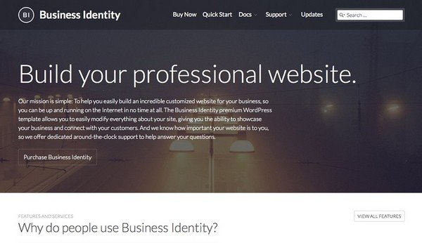 Business Identity is a business WordPress theme for any tech-oriented website.