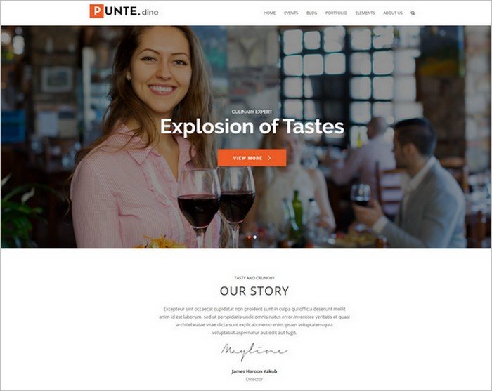 Punte is a free, flexible theme from AccessPress Themes.