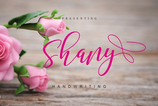 Shany is a handwritten font.