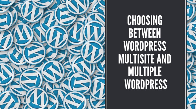 Choosing between WordPress Multisite and Multiple WordPress