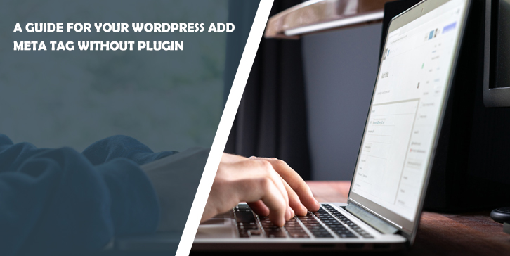 WordPress Add Meta Tag Without Plugin