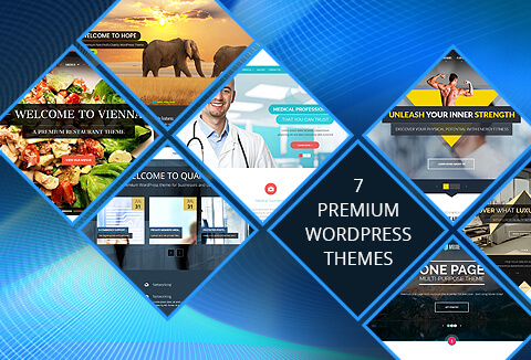 This bundle contains 7 elegant WordPress premium themes from Microthemes.