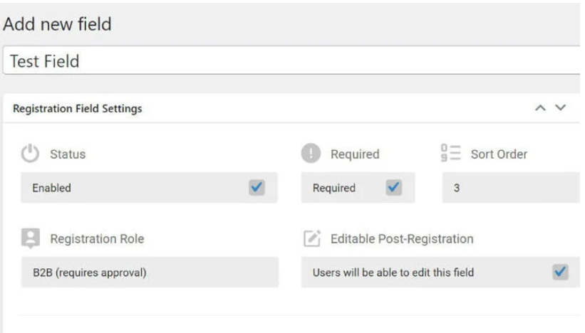 B2BKing registration fields