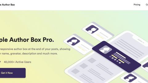 Simple Author Box Pro